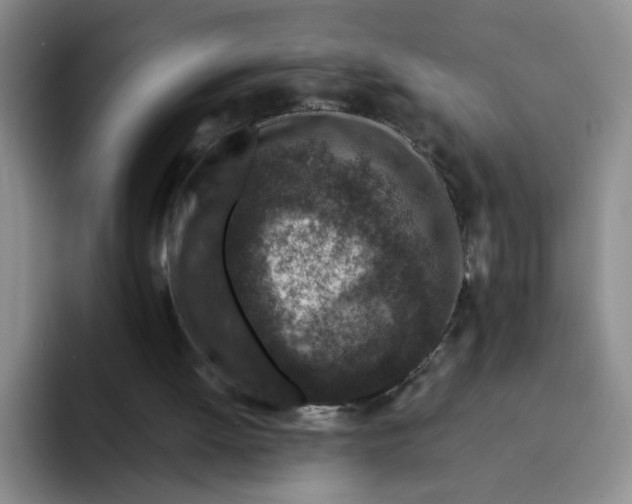 X0000091650052200709201133