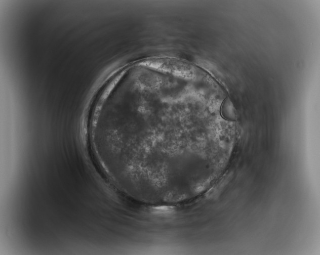 X0000091650053200709201133