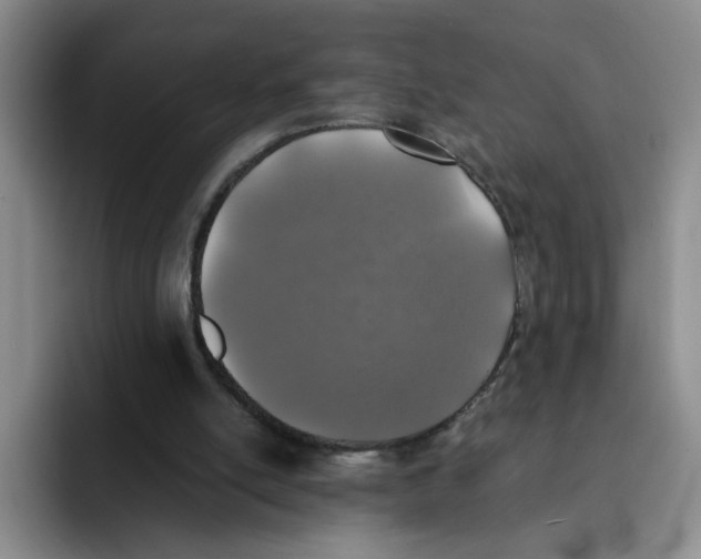 X0000091650054200709201133