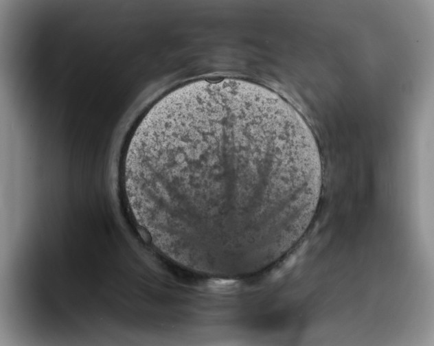 X0000091650055200709201133