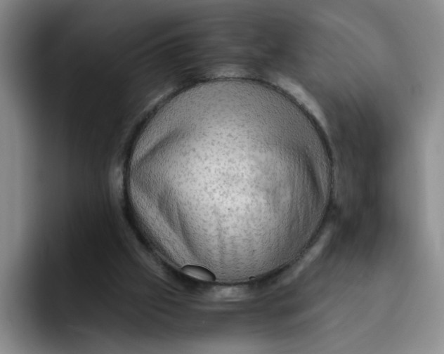 X0000091650057200709201133