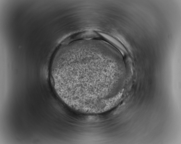 X0000091650060200709201133