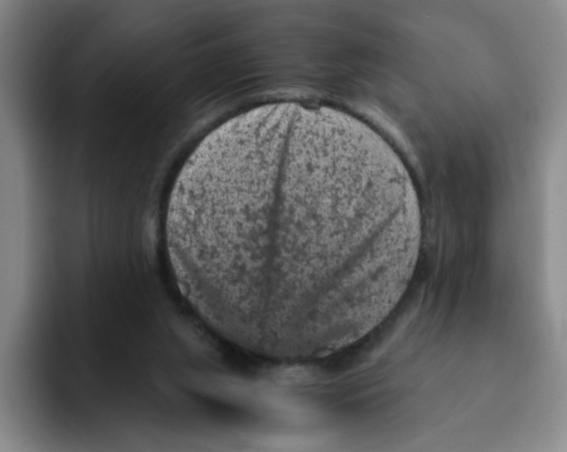 X0000091650063200709201133