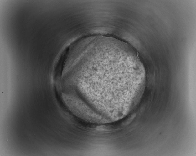 X0000091650064200709201133