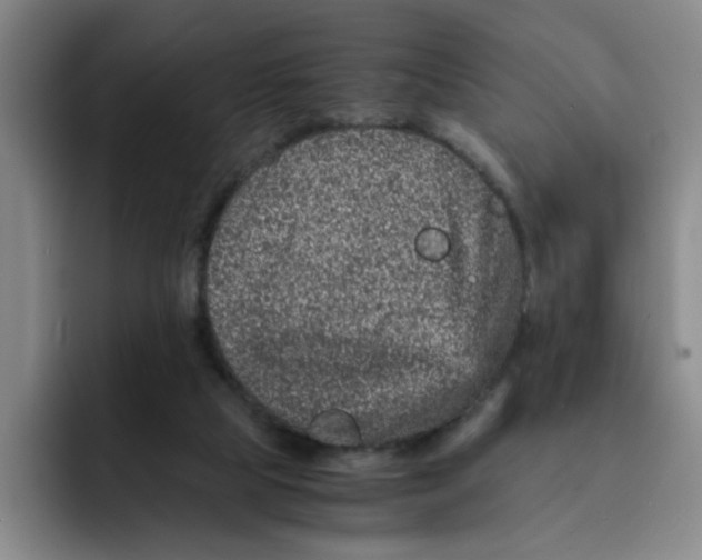 X0000091650065200709201133