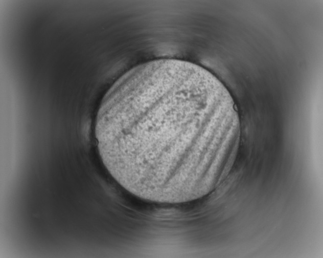 X0000091650066200709201133