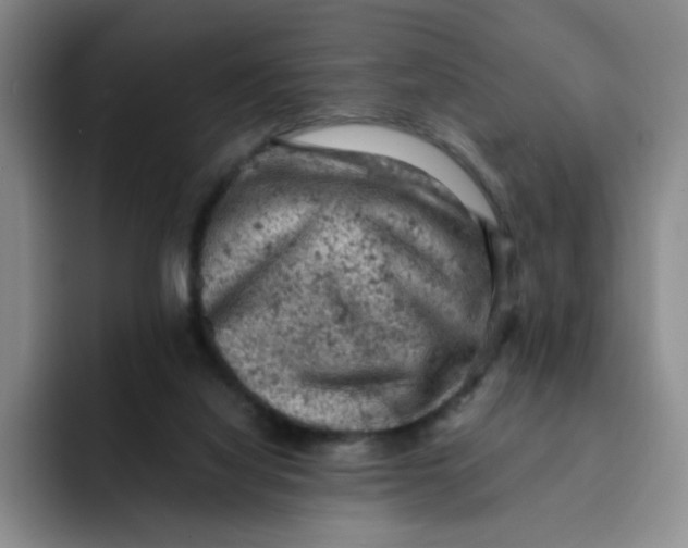 X0000091650068200709201133