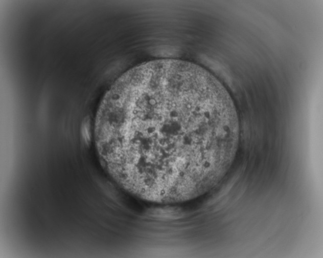 X0000091650069200709201133