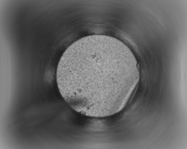 X0000091650073200709201134