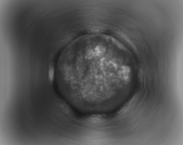 X0000091650076200709201134