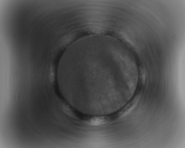 X0000091650080200709201134