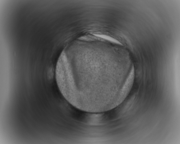 X0000091650081200709201134