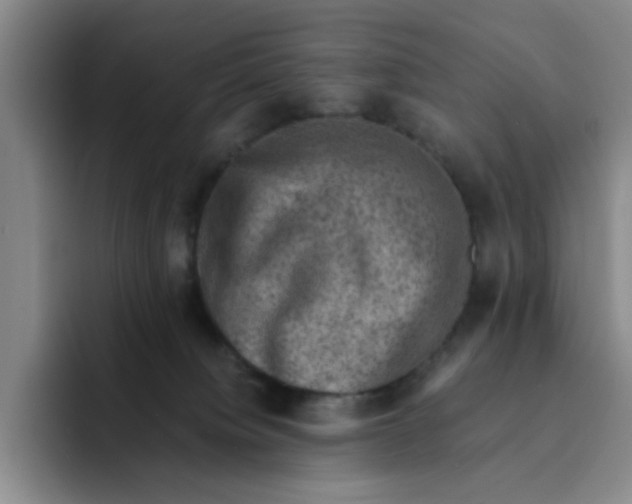 X0000091650084200709201134