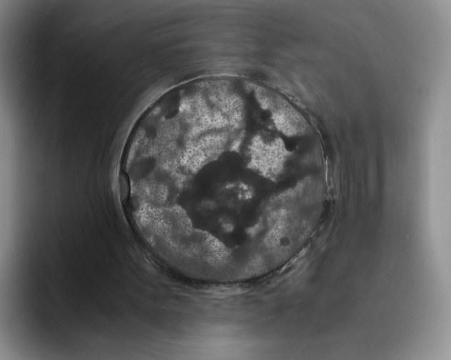 X0000091650099200709201133