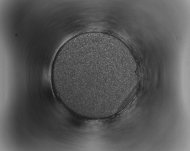 X0000091650100200709201133