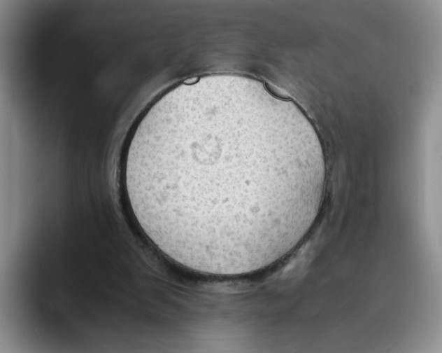 X0000091650103200709201133