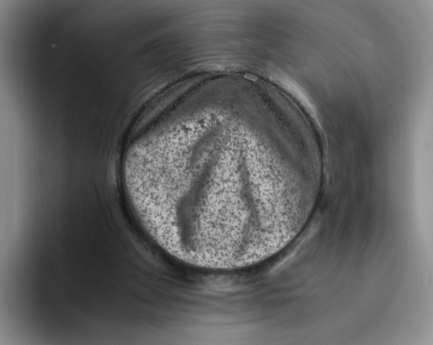 X0000091650105200709201133