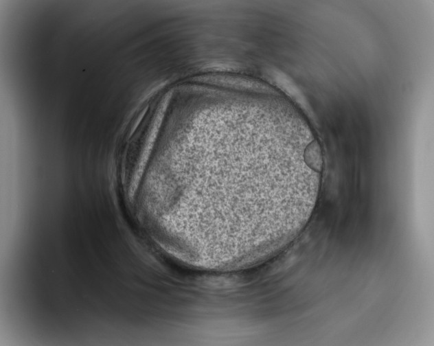 X0000091650106200709201133