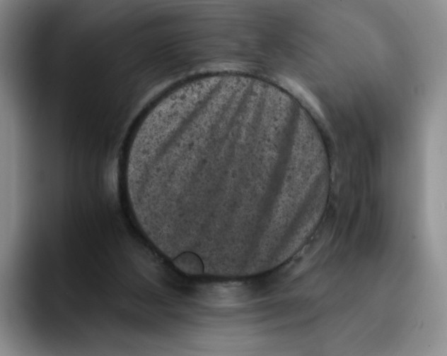 X0000091650108200709201133