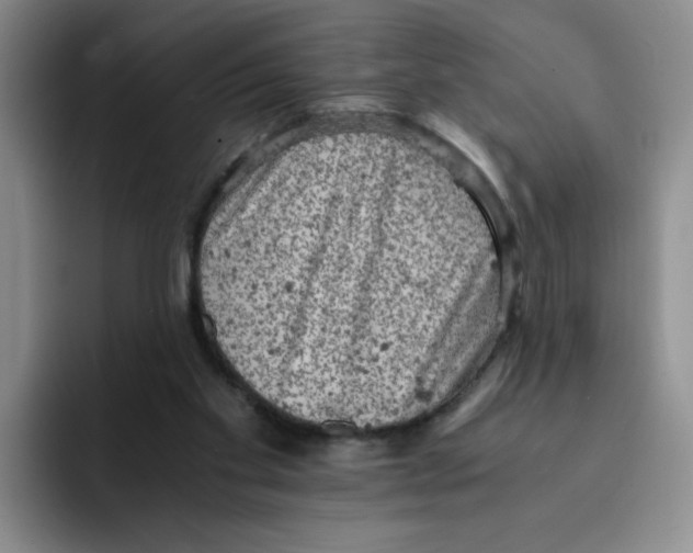 X0000091650109200709201133