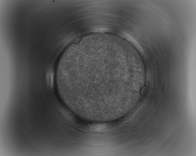 X0000091650110200709201133