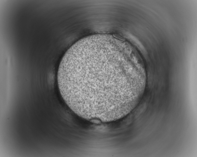 X0000091650113200709201133