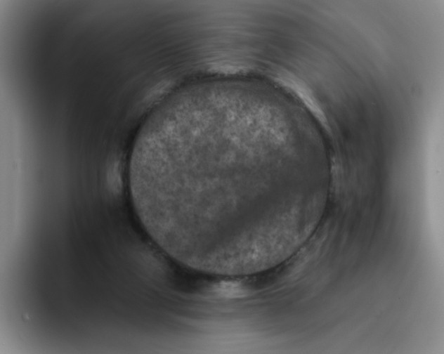 X0000091650114200709201133