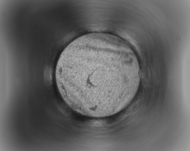 X0000091650115200709201133