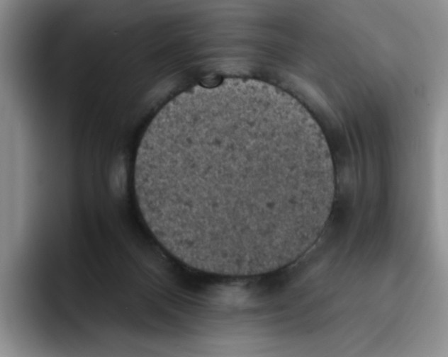 X0000091650120200709201133