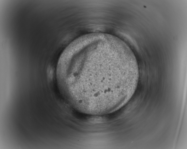 X0000091650123200709201133