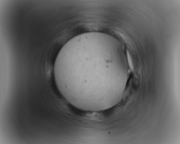 X0000091650125200709201133