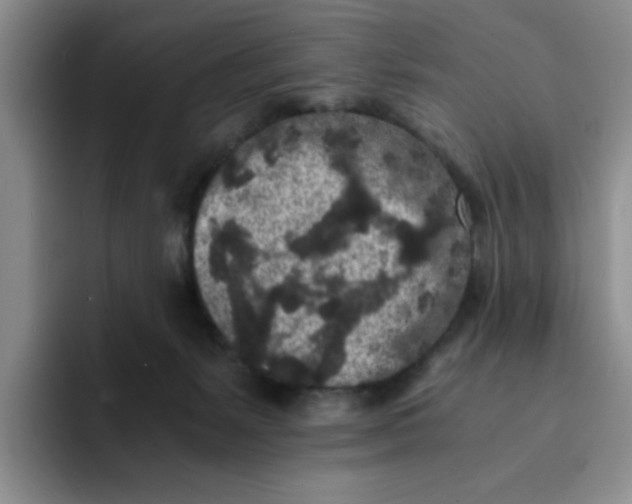 X0000091650127200709201133