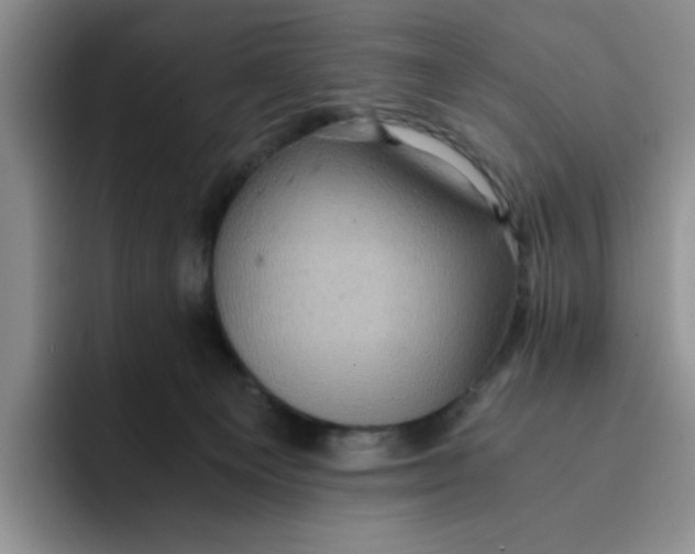 X0000091650129200709201133