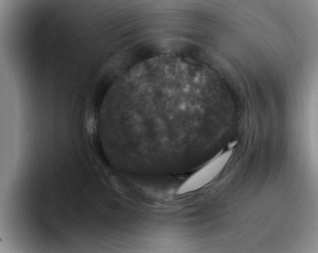 X0000091650137200709201133