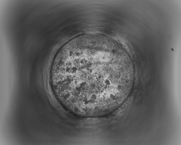 X0000091650145200709201132