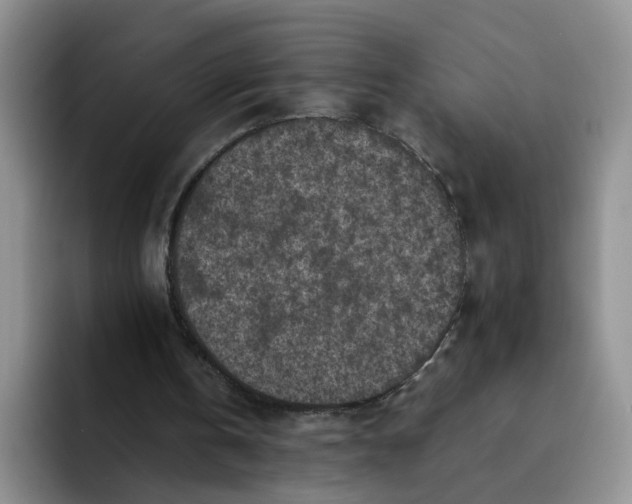 X0000091650146200709201132