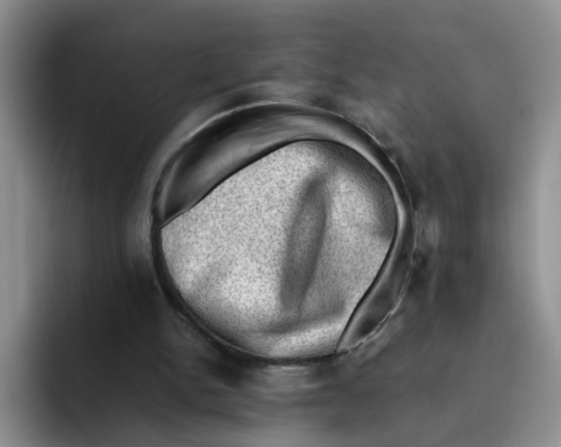 X0000091650150200709201132