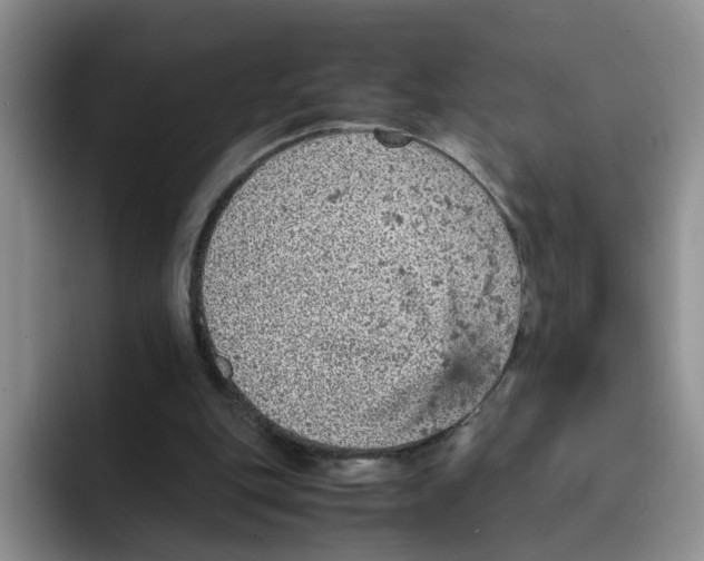 X0000091650151200709201132