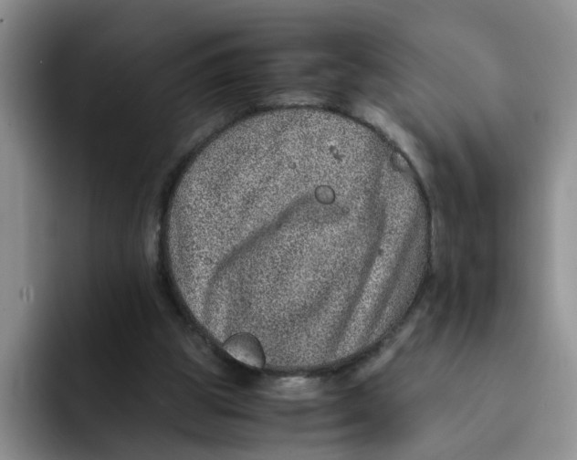 X0000091650153200709201132