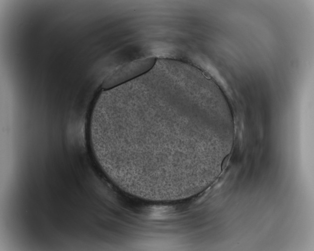 X0000091650154200709201132