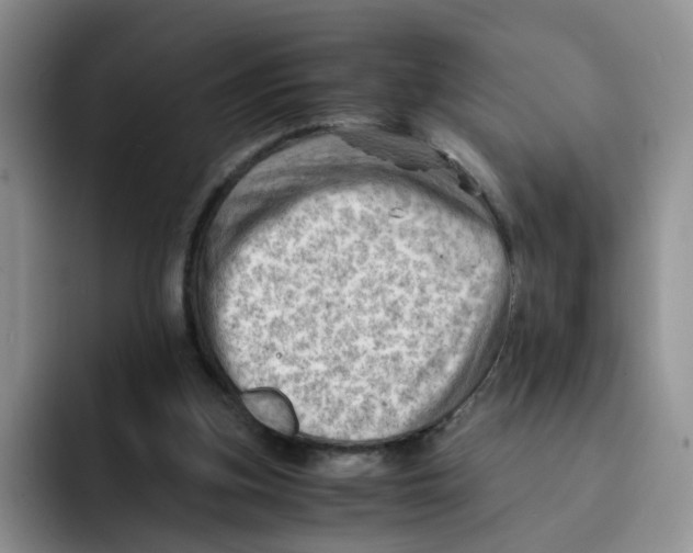 X0000091650155200709201132