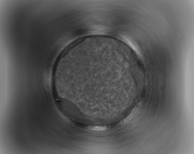 X0000091650156200709201132