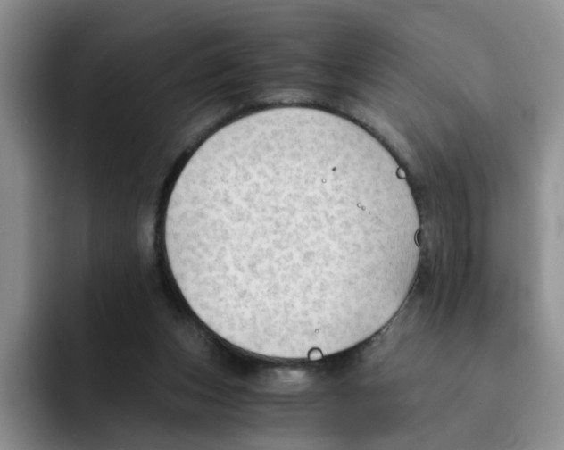 X0000091650159200709201132