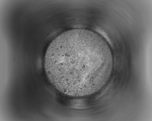 X0000091650161200709201132