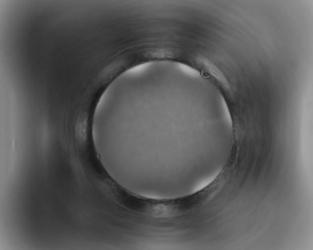 X0000091650163200709201132