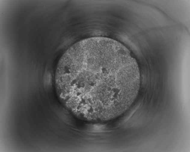 X0000091650165200709201132