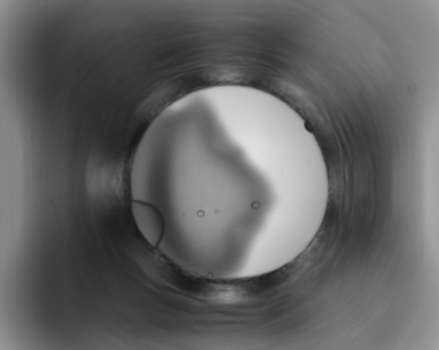 X0000091650167200709201132