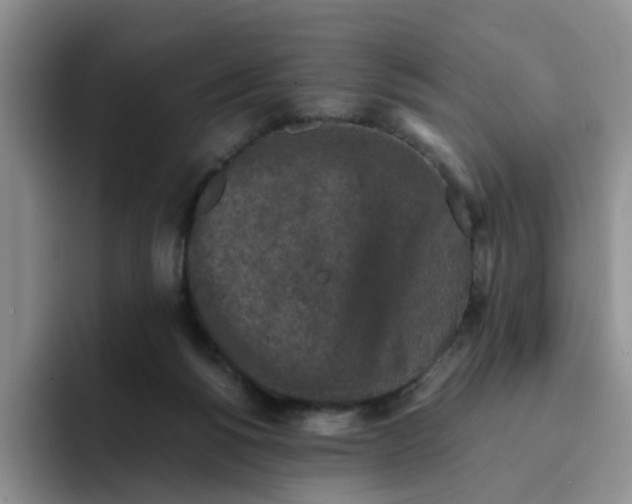 X0000091650168200709201132