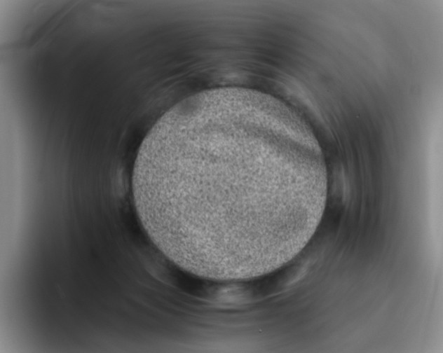 X0000091650173200709201132