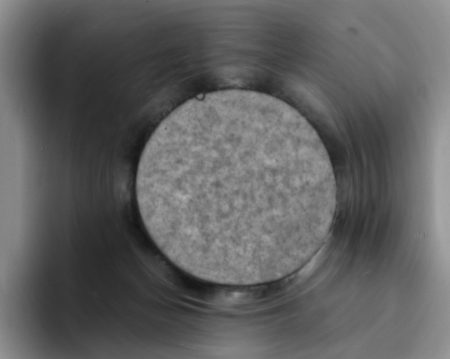 X0000091650174200709201132